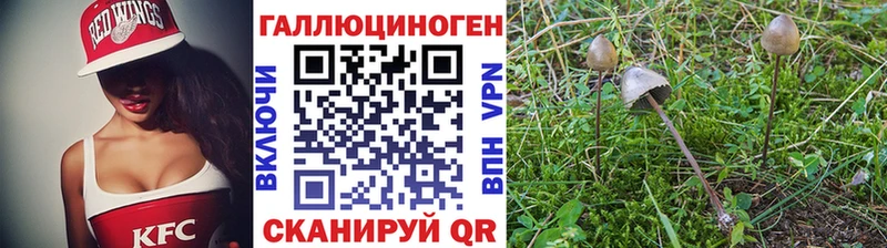 darknet Telegram  Кисловодск  Галлюциногенные грибы мухоморы 